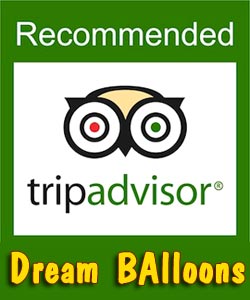 Dream-Balloons-on-rip-Advis